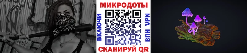 Купить закладки  Выкса  Псилоцибиновые грибы Psilocybe 